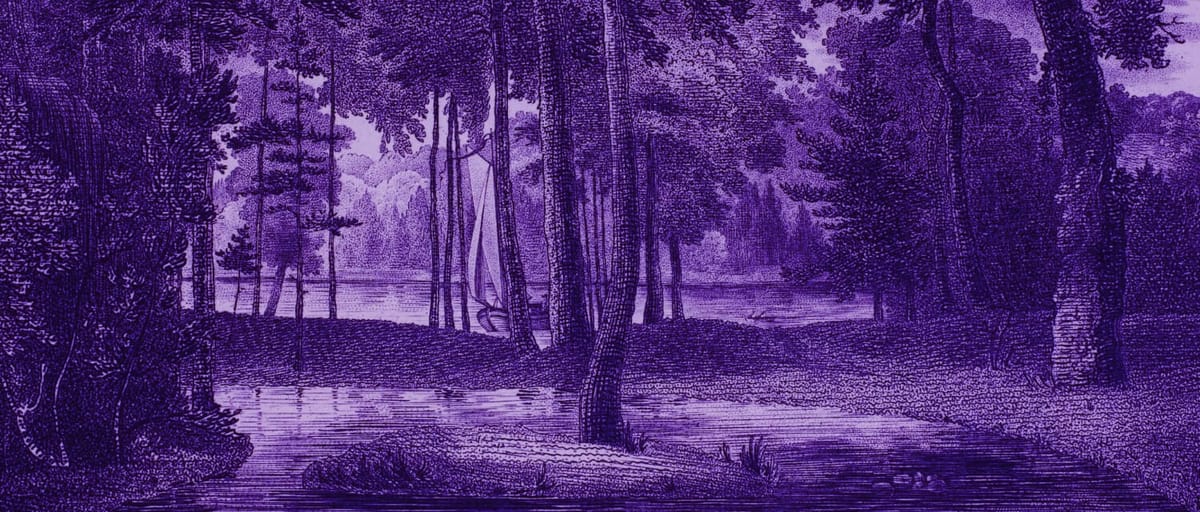 Реестр контролируемых лиц: полное руководство